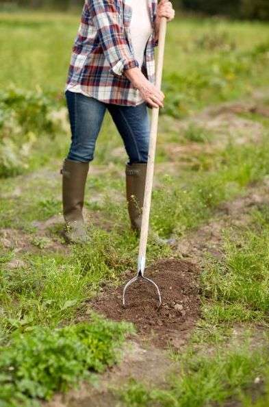 Image for Garden Hoe UK article. A woman wearing jeans and a plaid shirt drawing an oscillating hoe through an area of soil. 